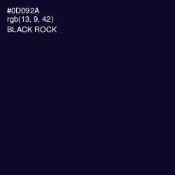 #0D092A - Black Rock Color Image